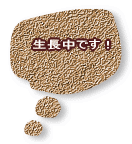 �������ł��I